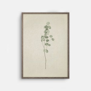 May include: A framed print of a single sprig of green eucalyptus leaves against a light beige background.