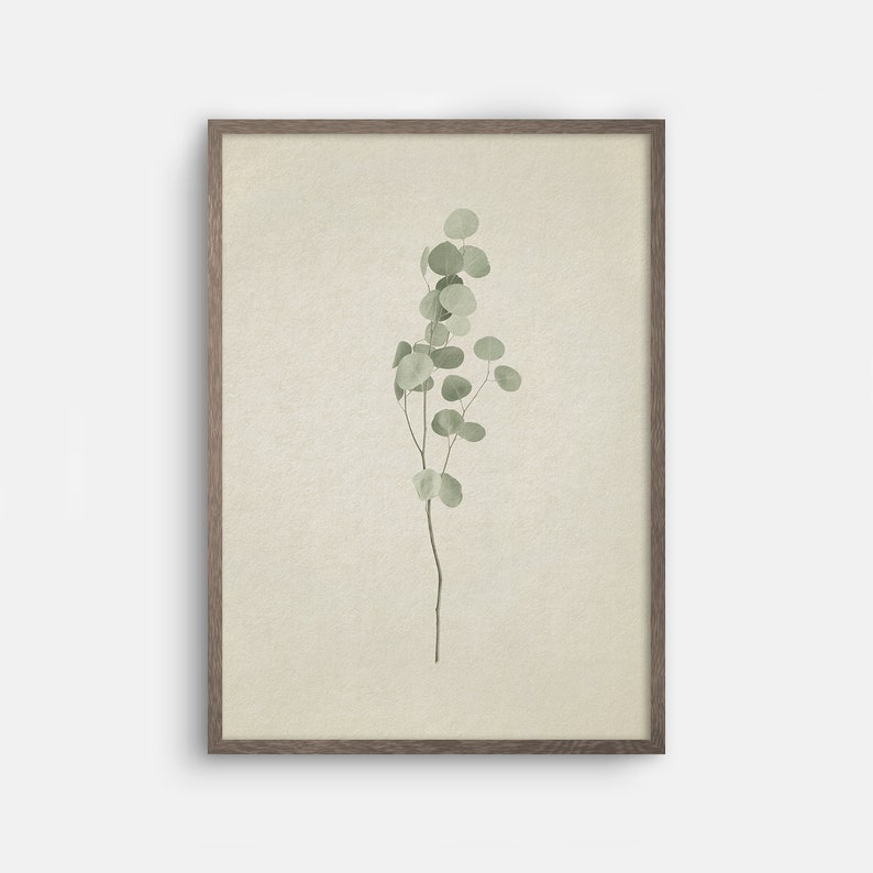 May include: A framed print of a single sprig of green eucalyptus leaves against a light beige background.