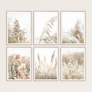 Wall Art Set Farmhouse Decor Botanical Prints Set of 6 Prints Country Home Decor Rustic Wall Art Neutral Boho Print Bohemian Art Grass Print