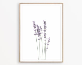 Lavender Botanical Print, Farmhouse Floral Wall Art, Wildflower Print