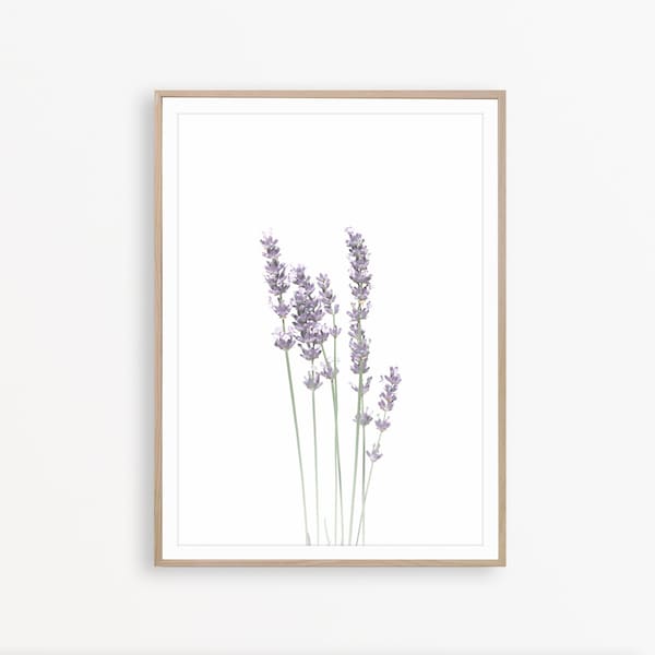 Lavender Wall Art Etsy