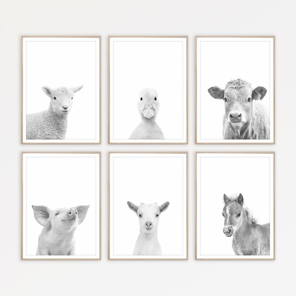 Farm Animals Prints Farmhouse Nursery Wall Decor Farm Nursery Prints Cute Animals Poster Cow Baby Nursery Art Print Set of 6 Nursery Prints