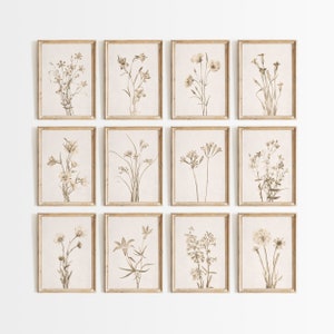 May include: A set of twelve framed botanical prints featuring various types of flowers in shades of brown and beige. The prints are arranged in a grid pattern on a white wall.