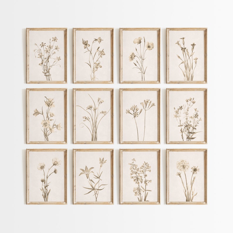 May include: A set of twelve framed botanical prints featuring various types of flowers in shades of brown and beige. The prints are arranged in a grid pattern on a white wall.
