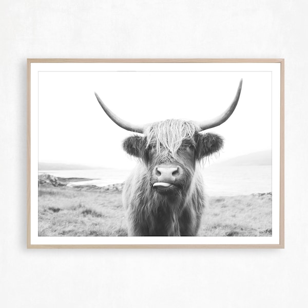Highland Cow Print Black and White Rustic Wall Art Scottish Cow Print Farm Animal Wall Art Cattle Poster Farmhouse Decor Cow Photography