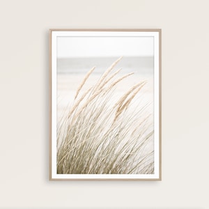 May include: A framed print of a photograph of tall, light brown grasses blowing in the wind against a blurred background of a beach.