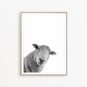 Sheep Print Farmhouse Decor Sheep Art Black and White Nursery Print Sheep Wall Art Sheep Printable Farmhouse Photography Sheep Poster