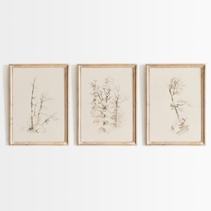 Minimalist Tree Print Set of 3 - Vintage Nature Wall Art, Beige Farmhouse Decor, Neutral Living Room Posters, Forest Drawing, Landscape Art
