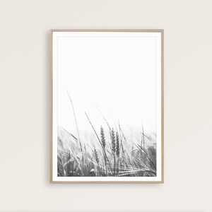 May include: Black and white photograph of tall grass blowing in the wind. The image is framed in a light wood frame.