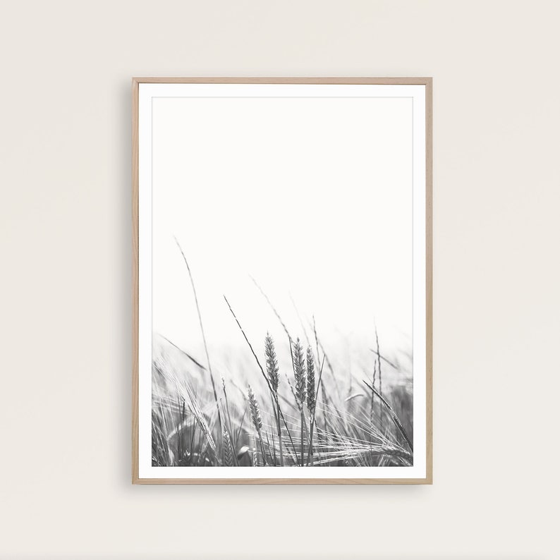 May include: Black and white photograph of tall grass blowing in the wind. The image is framed in a light wood frame.