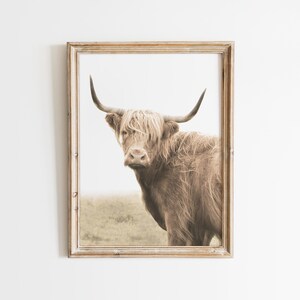 Może przedstawiać: Oprawiony wydruk przedstawiający krowę rasy Highland. Krowa ma długie, szorstkie, jasnobrązowe futro i duże, zakrzywione rogi. Wydruk jest w jasnej drewnianej ramie, a tło to miękki, neutralny krajobraz.