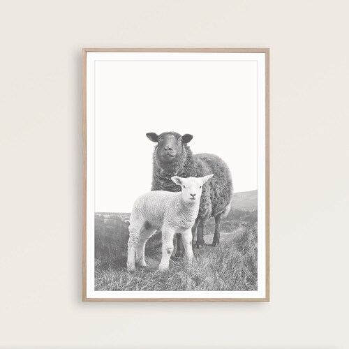 Sheep Wall Art Farmhouse Wall Art Country Print Neutral Farm Etsy