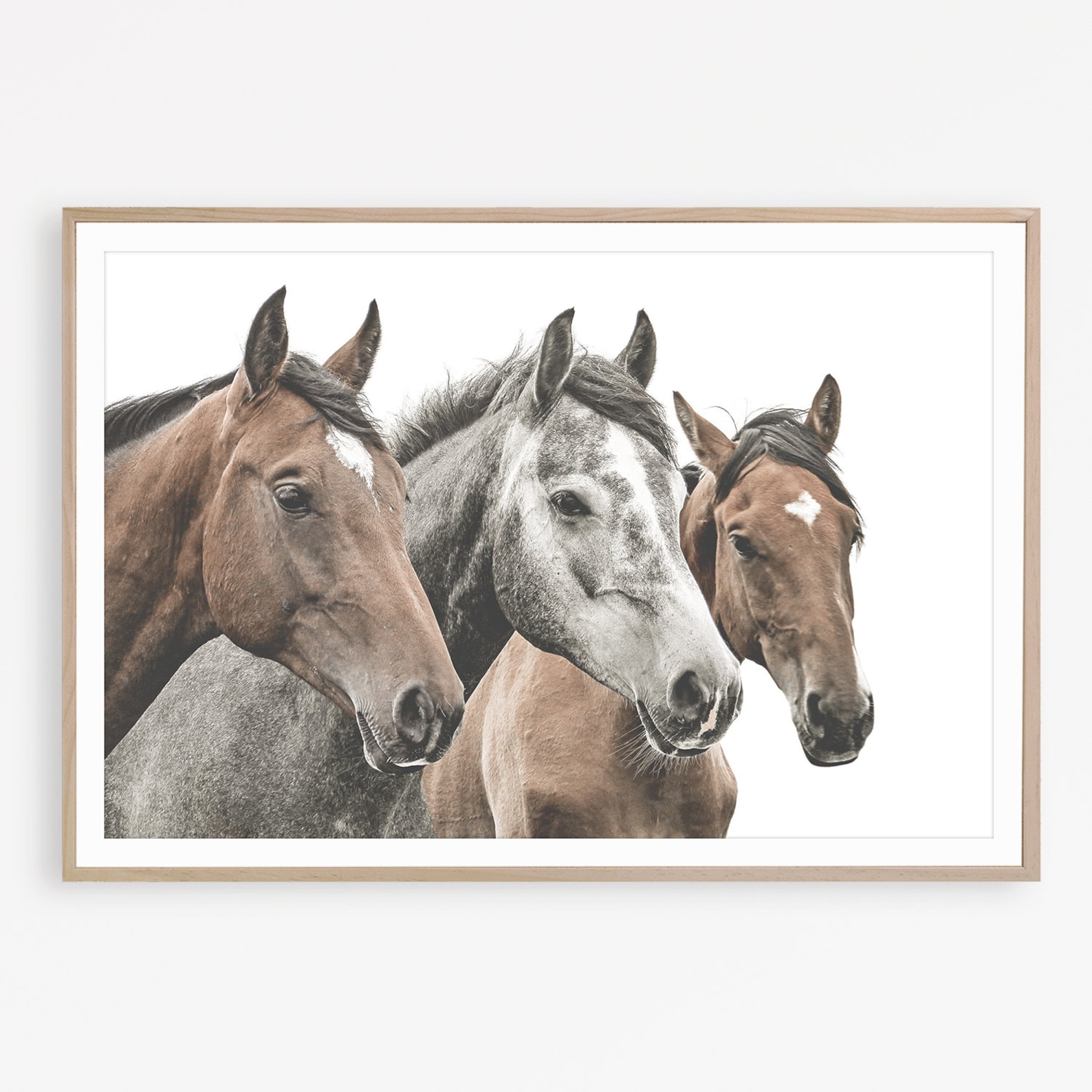 Horse Photography Print, Equestrian Wall Art, Farmhouse Decor, Rustic