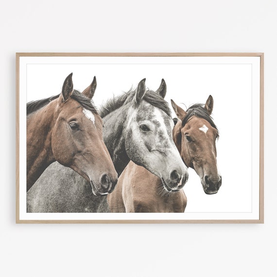 Large Horse Wall Art Print Modern Farmhouse Decor Boho Etsy