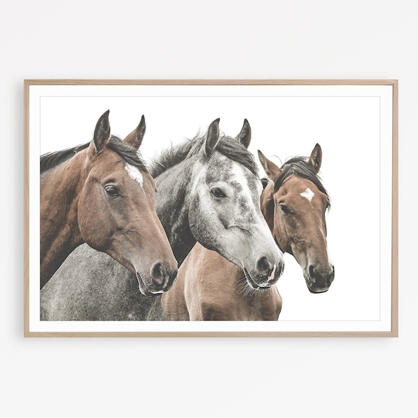 Horse Photography Etsy