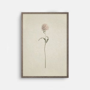 May include: A framed print of a single, delicate pink flower with green leaves on a beige background.