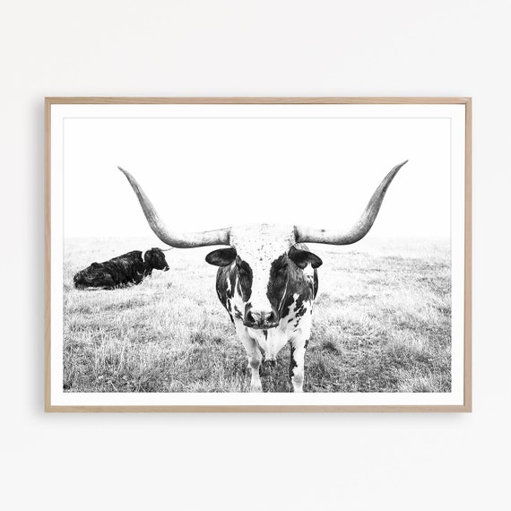 Cow Print Farmhouse Wall Art Bull Print Cattle Print Cow Poster Farm Decor Cow Photography Farm Art Country Print Farmhouse Printable Art