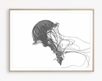 Black and White Jellyfish Print Ocean Art Modern Minimalist Print Jellyfish Art Nautical Print Jellyfish Printable Jellyfish Wall Art