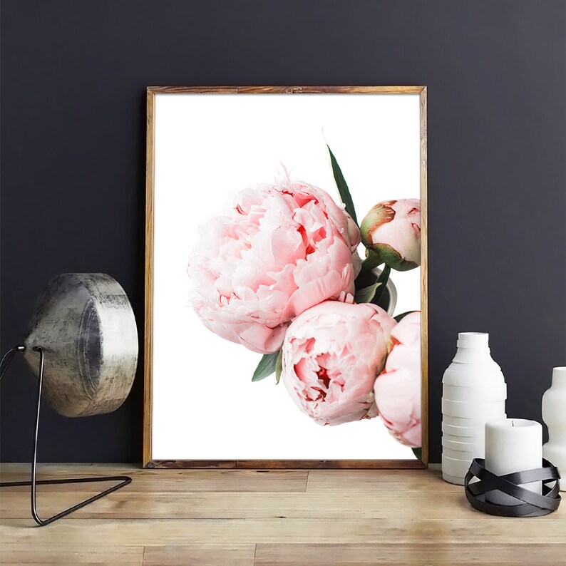 Peony Wall Art Flower Print Peony Print Botanical Wall Art - Etsy
