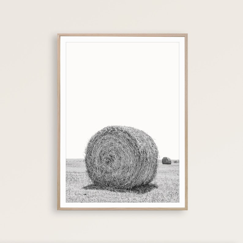 May include: Black and white photograph of a large round hay bale in a field. There is a smaller hay bale in the distance.