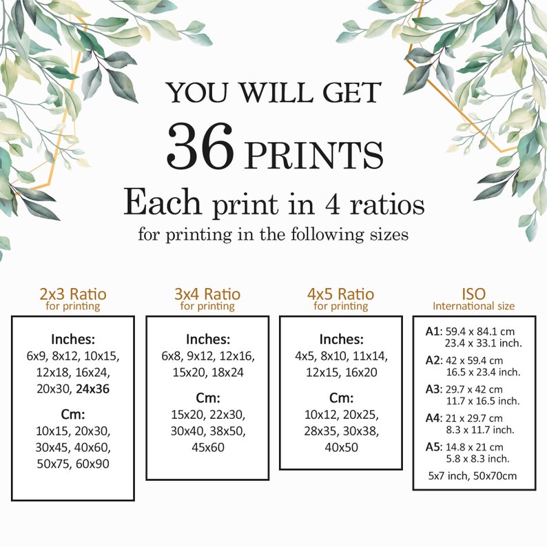 May include: A chart showing 36 different print sizes in inches and centimeters for 2x3, 3x4, and 4x5 ratios. The chart also includes ISO international paper sizes in centimeters and inches.