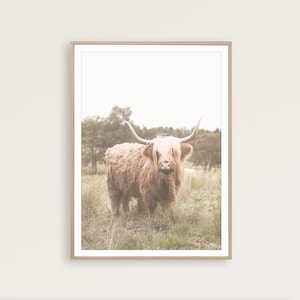 Highland Cow Wall Art Rustic Farmhouse Decor Highland Cow Printable Highland Cattle Art Farmhouse Poster Farm Art Cow Wall Decor Rustic Art