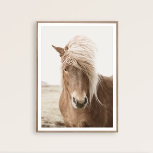 May include: A framed print featuring a close-up of a brown horse with a long, flowing, blonde mane. The horse is looking directly at the viewer. The background is a soft, neutral color, with a hint of a field.