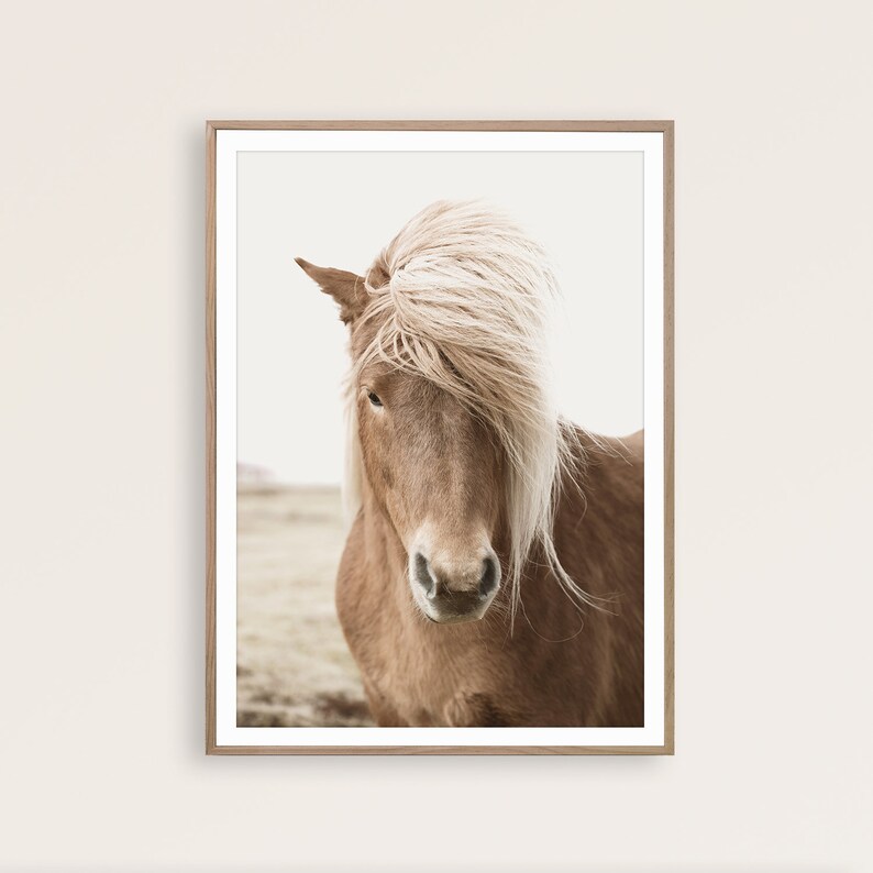 May include: A framed print featuring a close-up of a brown horse with a long, flowing, blonde mane. The horse is looking directly at the viewer. The background is a soft, neutral color, with a hint of a field.
