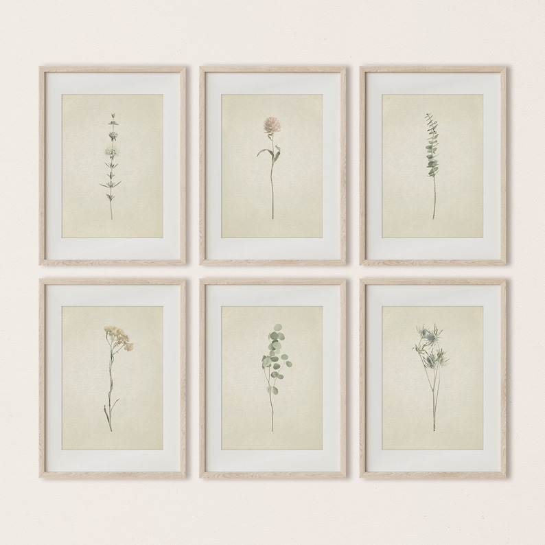 May include: Six framed botanical prints with a white background and light brown frames. Each print features a different type of dried flower or plant, including a pink flower, a green leafy branch, and a white flower.