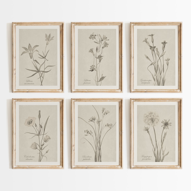 vintage flower print set