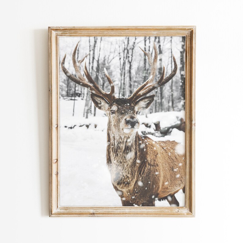 Deer Print Nature Wall Art Wilderness Winter Prints Rustic - Etsy
