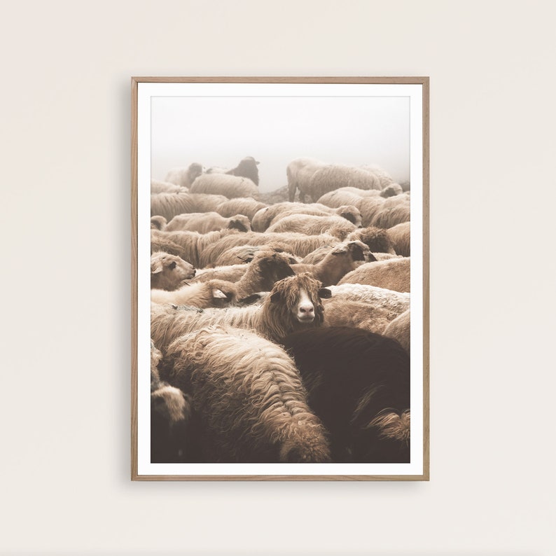 May include: A sepia-toned framed print featuring a large flock of sheep. The sheep are densely packed together, with varying shades of brown and tan wool. The background is a soft, hazy white, suggesting a foggy or overcast day. The print is in a wooden frame.