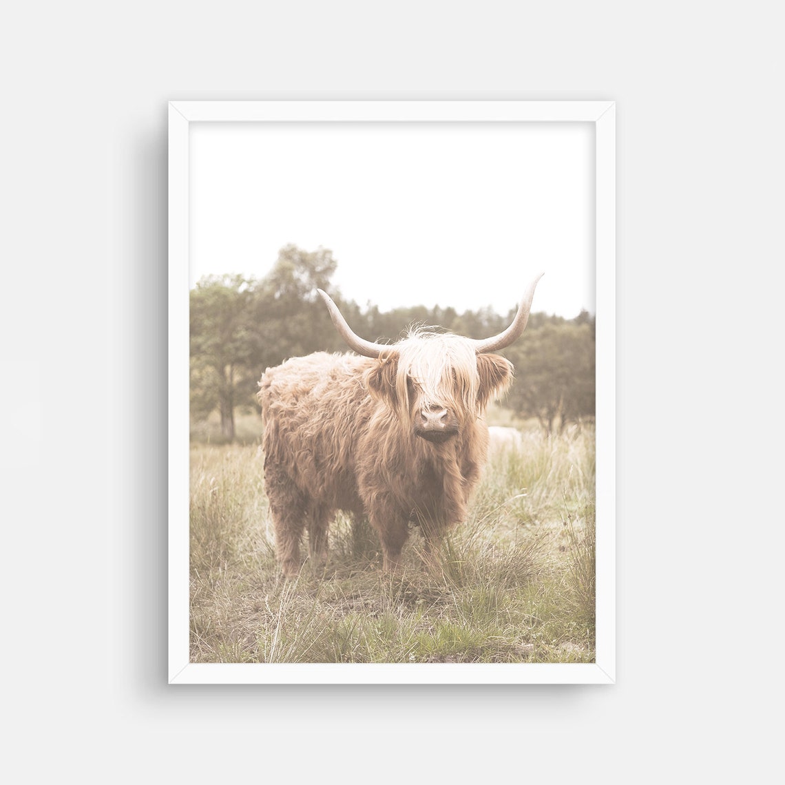Highland Cow Wall Art Rustic Farmhouse Decor Highland Cow Etsy