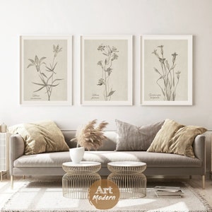 May include: Three framed botanical prints with black and white illustrations of flowers. The prints are hung on a white wall above a light gray sofa with throw pillows and a coffee table.