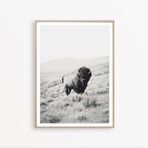 Bison Wall Art Buffalo Print Wilderness Photography Southwest Poster Black and White Print Scandinavian Print Southwestern Decor Bison Print