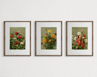 ヴィンテージボタニカルプリントセット：セージグリーンの花柄ギャラリーウォールデコ、アンティークフラワーペインティング