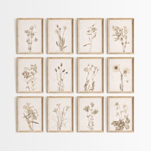 May include: A set of twelve framed botanical prints featuring various types of flowers and plants in shades of brown and beige. The prints are arranged in a grid pattern on a white wall.