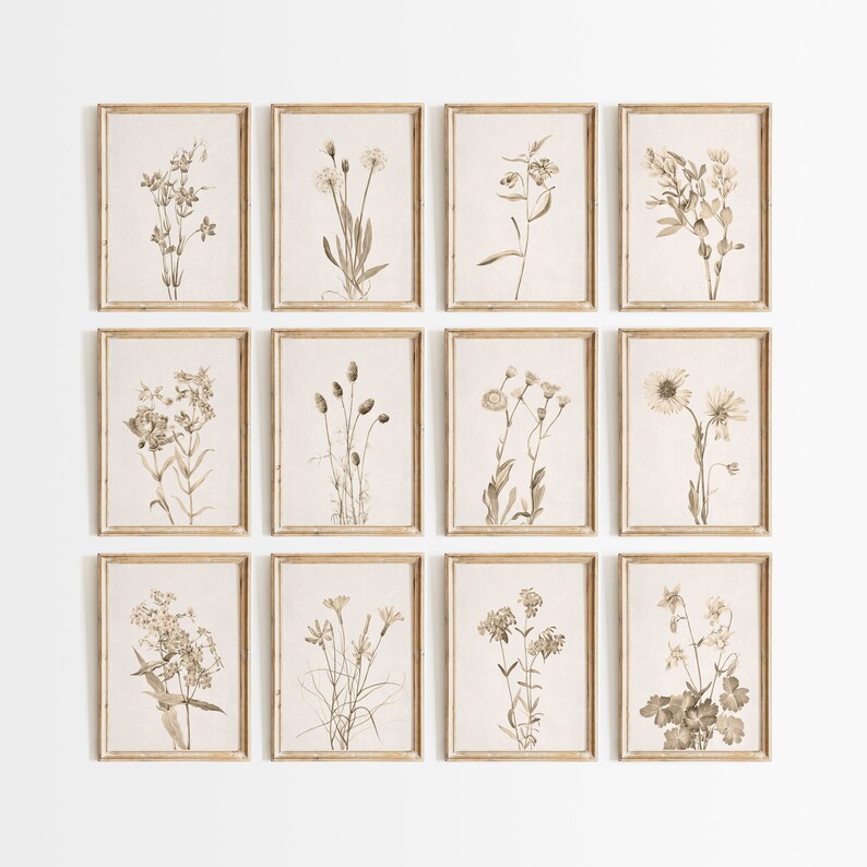 May include: A set of twelve framed botanical prints featuring various types of flowers and plants in shades of brown and beige. The prints are arranged in a grid pattern on a white wall.
