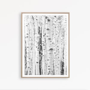 Birke Baum Wand Kunstwald Druck skandinavischen Wand Kunst nordic Dekor Wald Poster Birke Baum Druck skandinavischen Dekor Druck schwarz und weiß