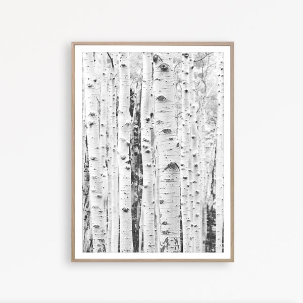 Birch Tree Wall Art Forest Print Scandinavian Wall Art Nordic Decor Forest Poster Birch Tree Print Scandinavian Decor Print Black and White