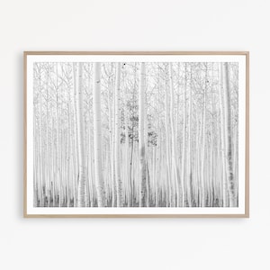 Skandinavischen Wall Art schwarz und weiß Druck Birke Baum Art Birke Wald Druck weiß Birke Dekor Druck Birkenwald Plakatkunst Aspen