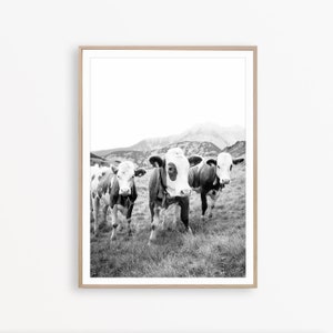 Cow Print Modern Farmhouse Wall Art Farm House Decor Cow Photography Farm Print Cow Poster Farm Animal Print Rustic Cow Art Farm Printable