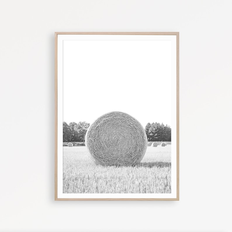 May include: A black and white photograph of a large round hay bale in a field. The hay bale is in the centre of the image and there are smaller hay bales in the background.