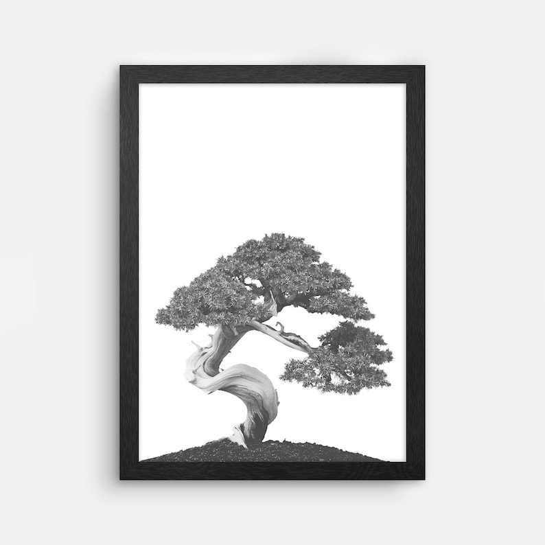 Bonsai Tree Wall Art Plant Print Black and White Botanical - Etsy