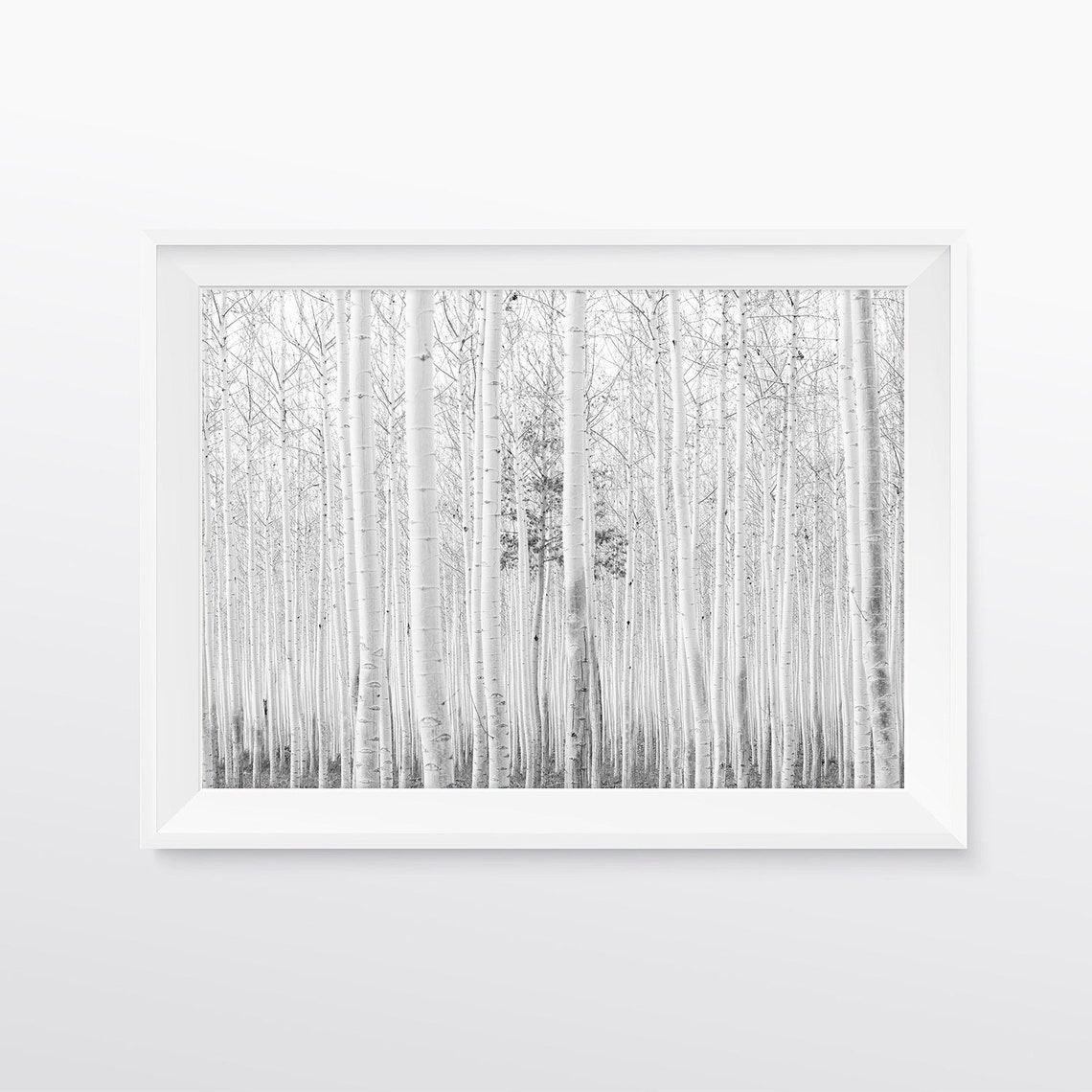 Scandinavian Wall Art Black and White Print Birch Tree Art Etsy