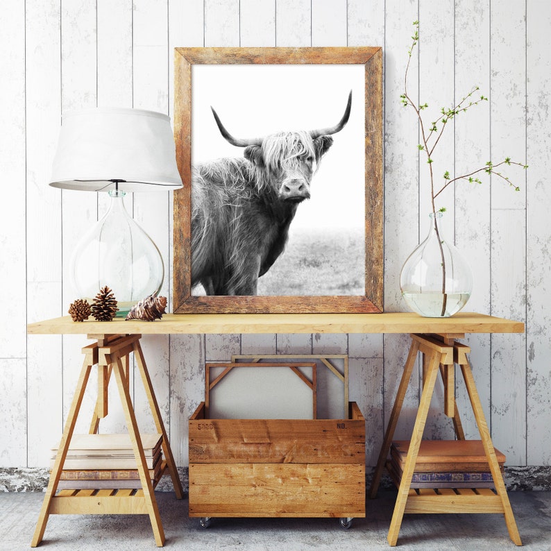 Pu&ograve; includere: Fotografia in bianco e nero di una mucca Highland in una cornice di legno. La cornice &egrave; appoggiata su un tavolo di legno con due cavalletti di legno. Ci sono due barattoli di vetro e una piccola pianta sul tavolo.