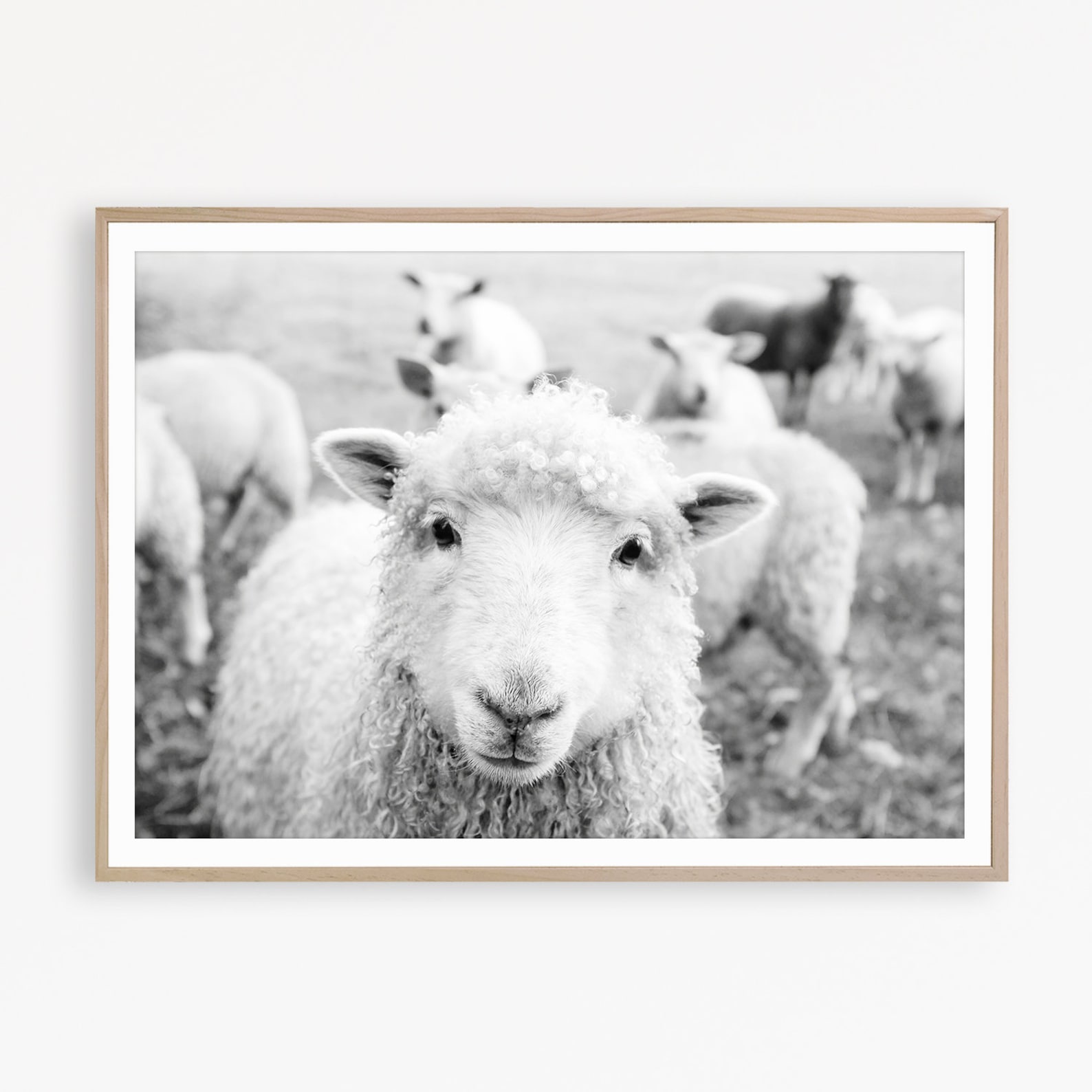 Sheep Wall Art Farmhouse Wall Art Country Print Black & White Etsy