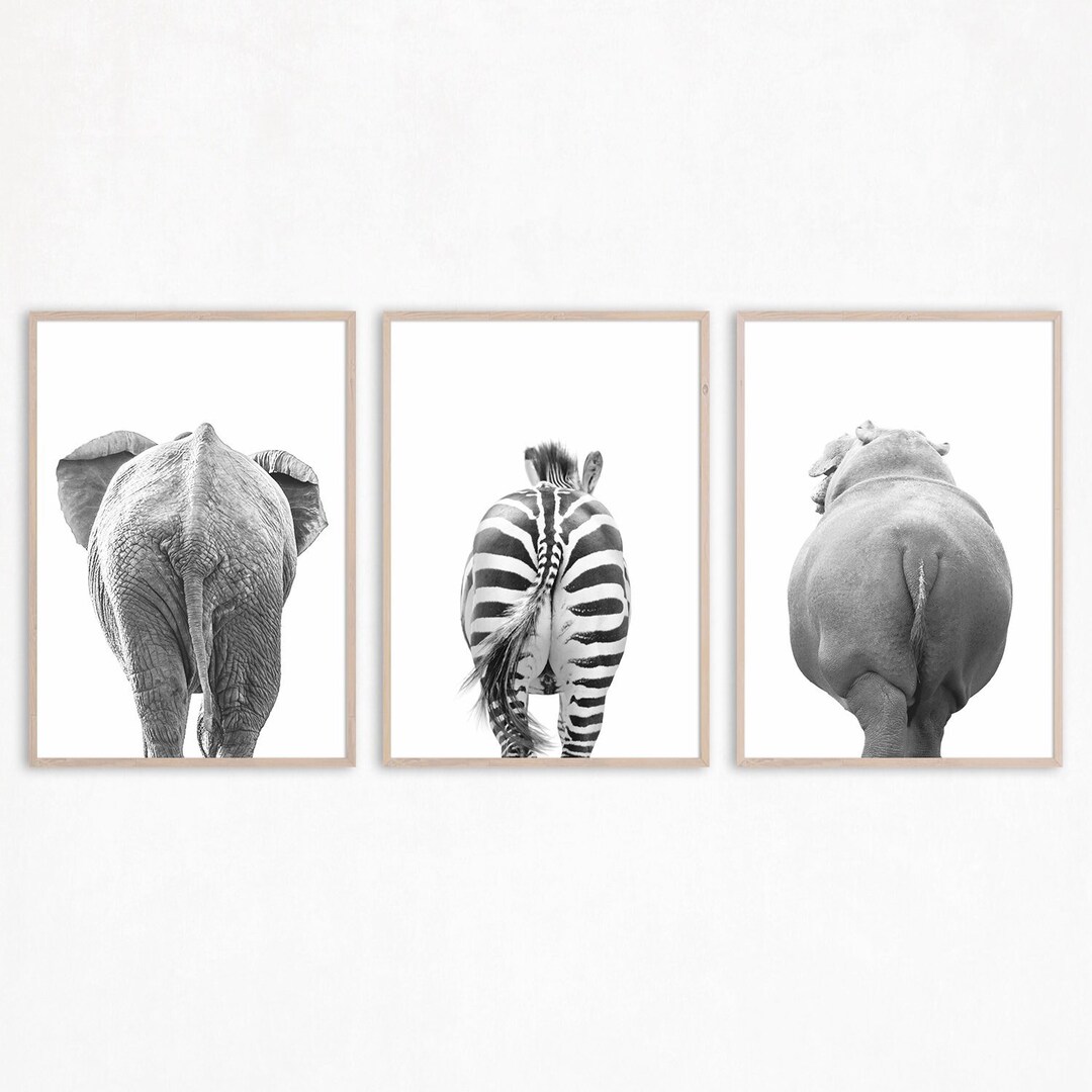 Animal Wall Art 3d