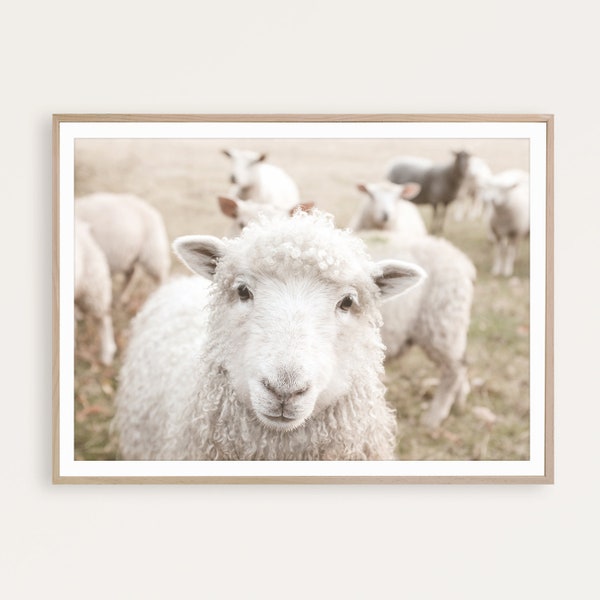 Sheep Print Farmhouse Wall Art Farmhouse Decor Farm Animal Print Rustic Wall Art Country Print Sheep Decor Farmhouse Poster Farm Art