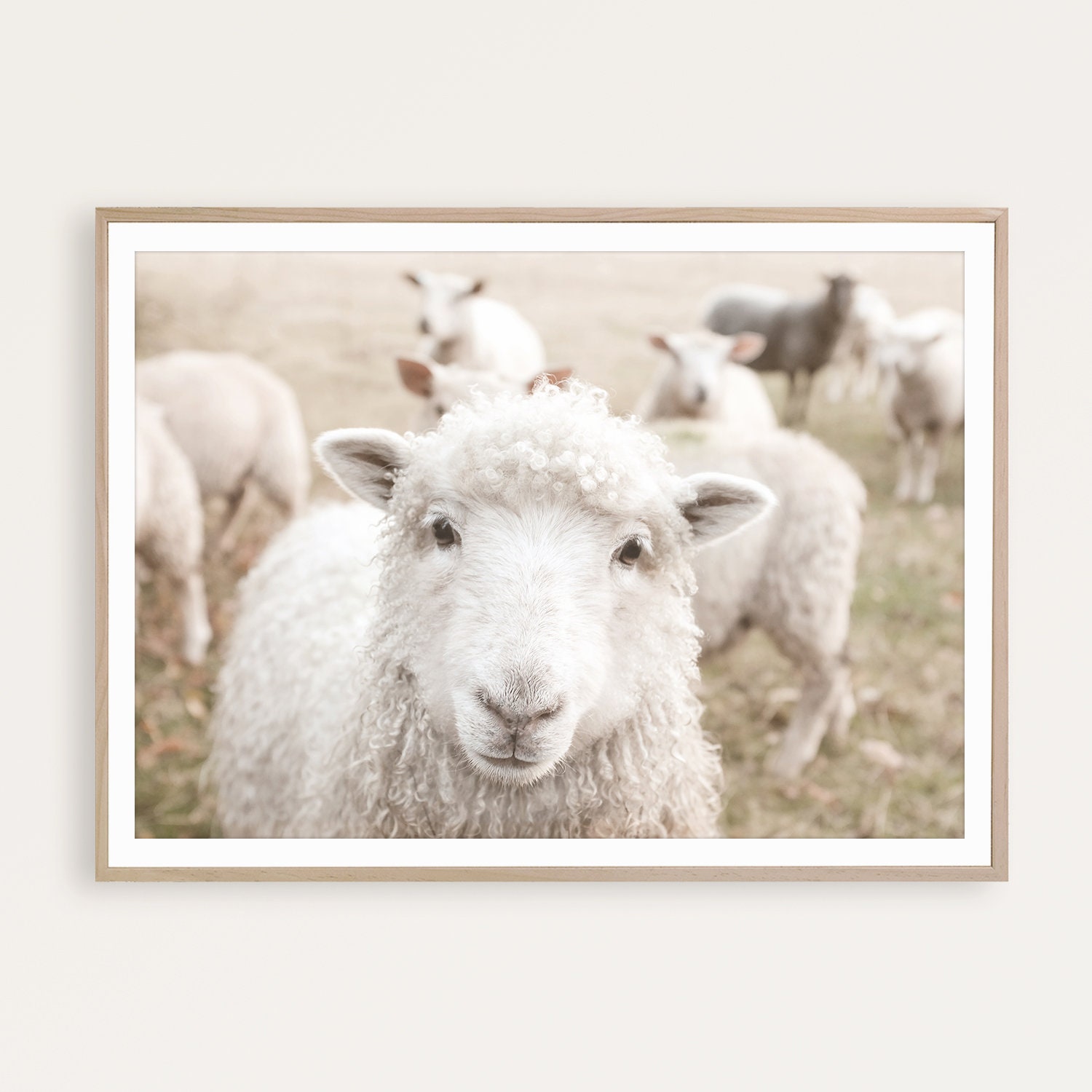 Sheep Print Farmhouse Wall Art Farmhouse Decor Farm Animal Etsy